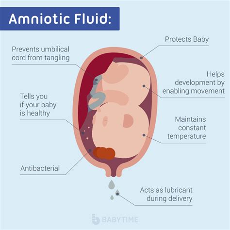 treatment for leaking amniotic fluid|Leaking Amniotic Fluid: Signs in 1st to 3rd Trimester